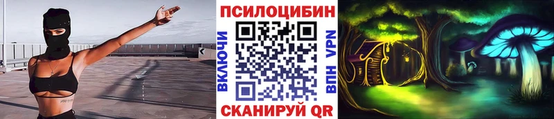 Псилоцибиновые грибы Cubensis Котельники